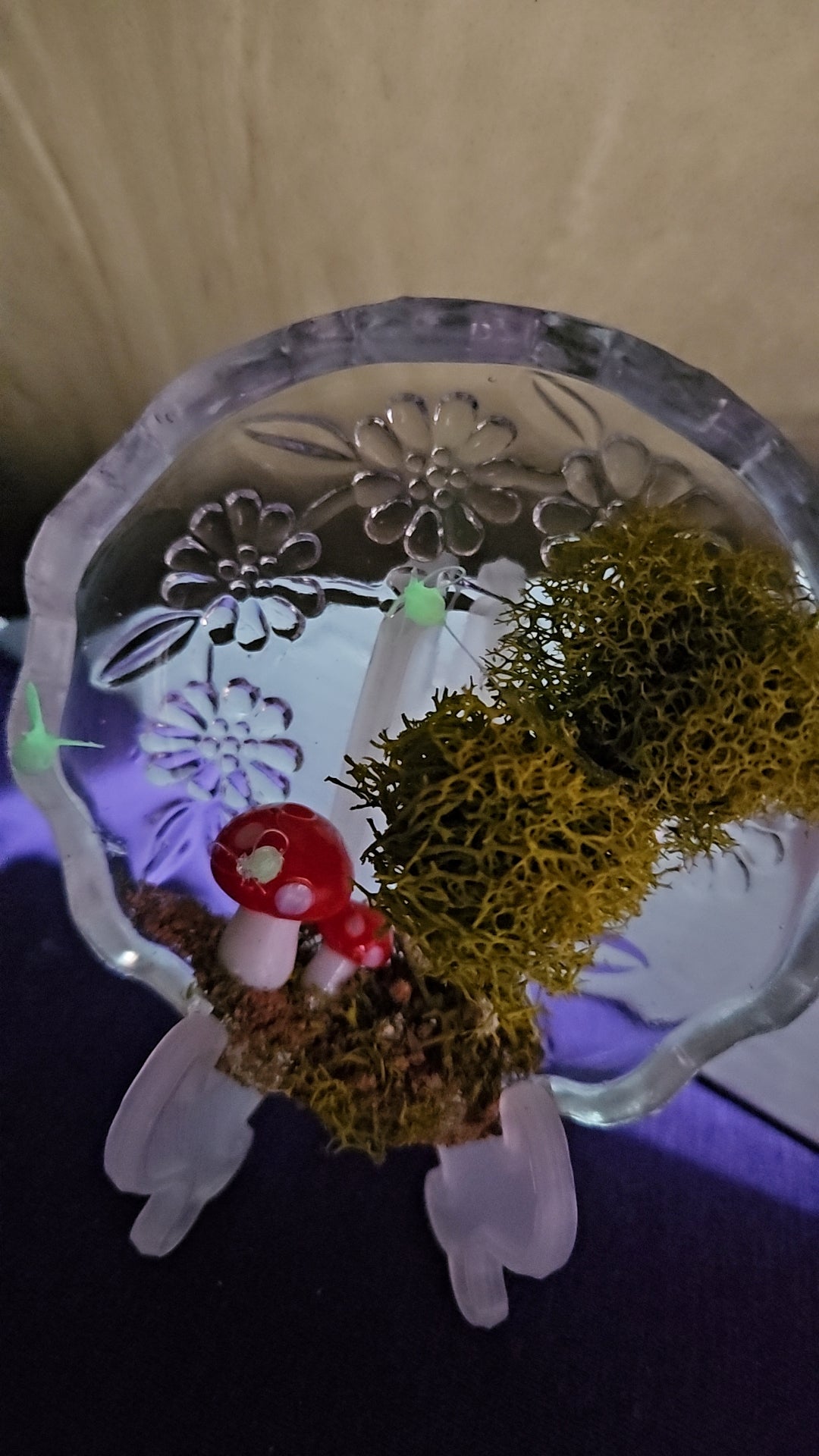 Crystal dish topiary