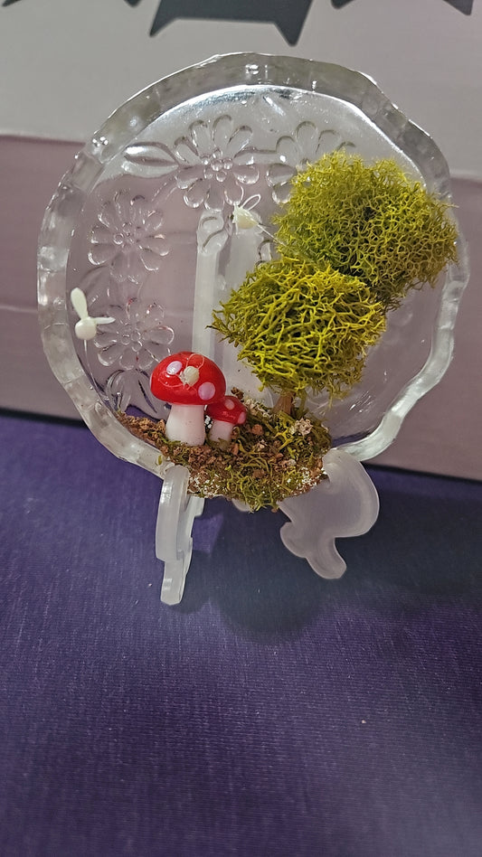 Crystal dish topiary